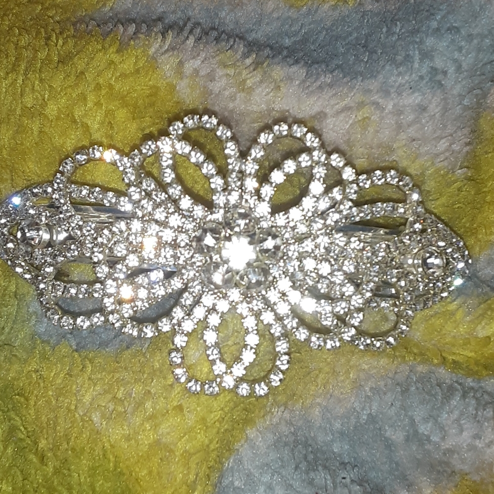 A hair clip